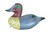 Green Wing Teal