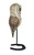 Keen Owl - Barred Owl