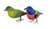 Painted Bunting Pair with wire feet