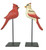 Male and Female Cardinal couple