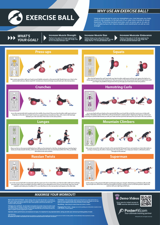 Gym Charts