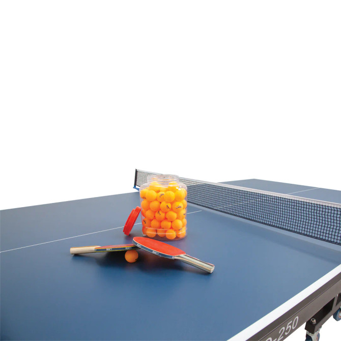 Victor Table Tennis Table Pro-250