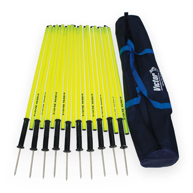 Victor Agility Pole Set of 10 & Bag