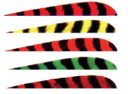 Feathers (Replacement) Pk 25