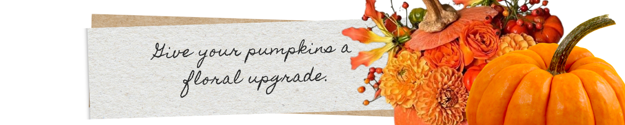 Pumpkin Day 10/26