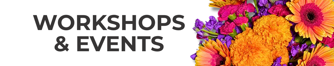 Workshops & Events