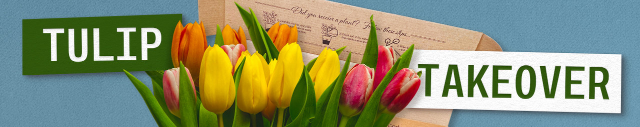 Tulip Takeover