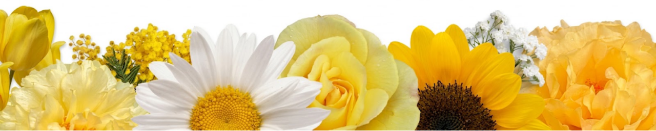 Yellow Flower Day
