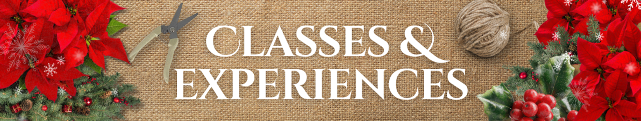 Classes & Experiences