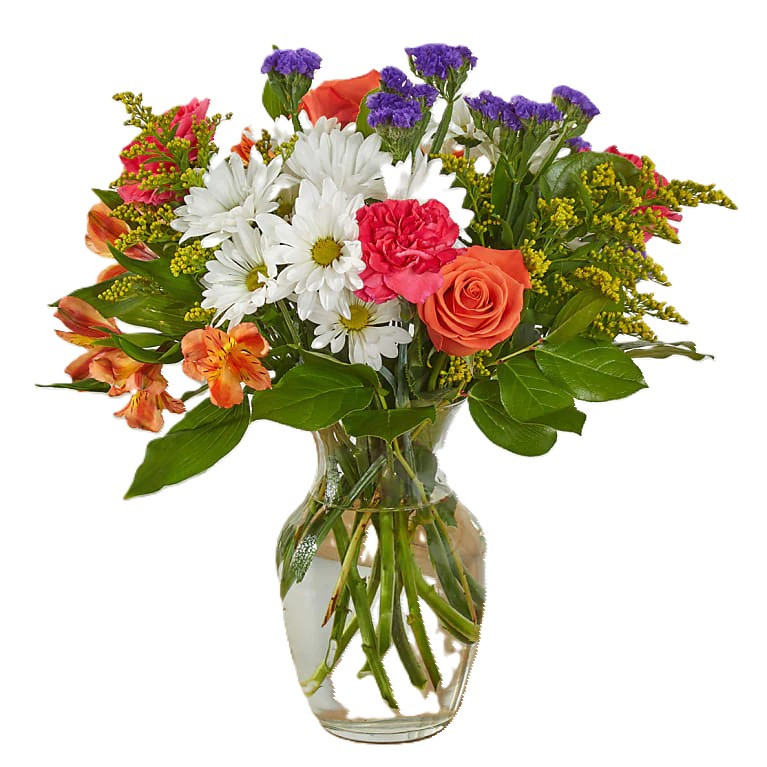 Orange Rose White Daisy Hot Pink Carnation Orange Alstroemeria