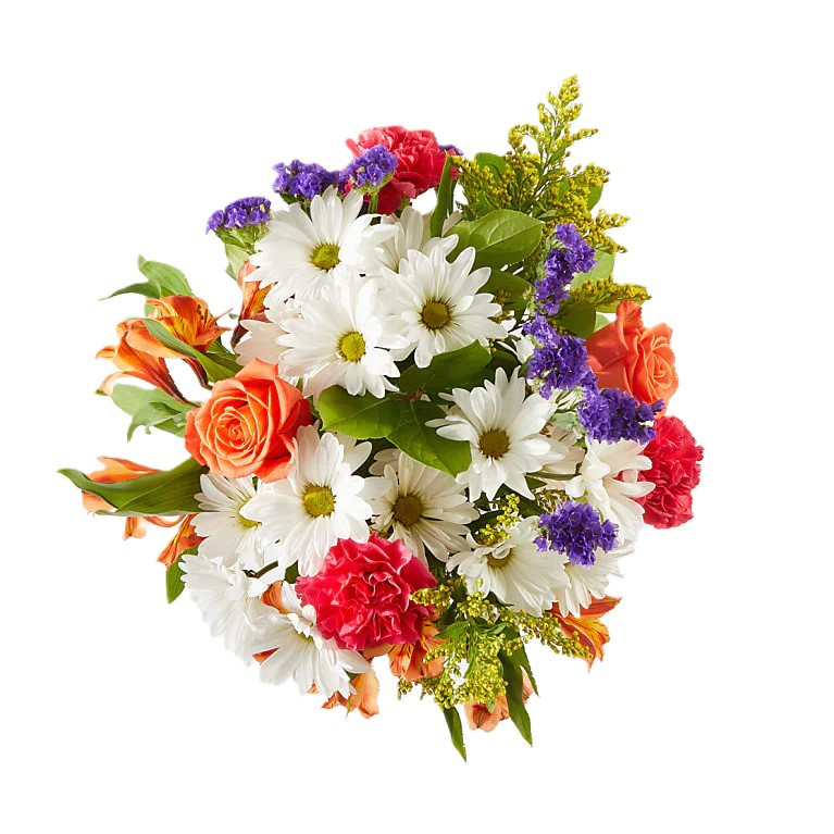 Orange Rose White Daisy Hot Pink Carnation Orange Alstroemeria