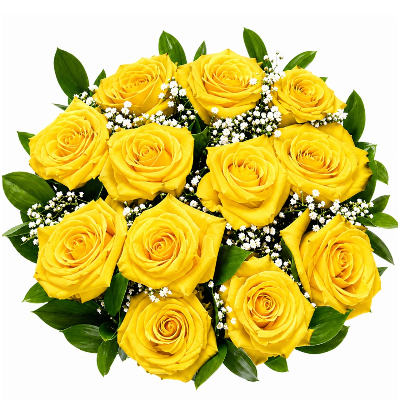 A Dozen Reasons Farm Fresh Roses | Albuquerque