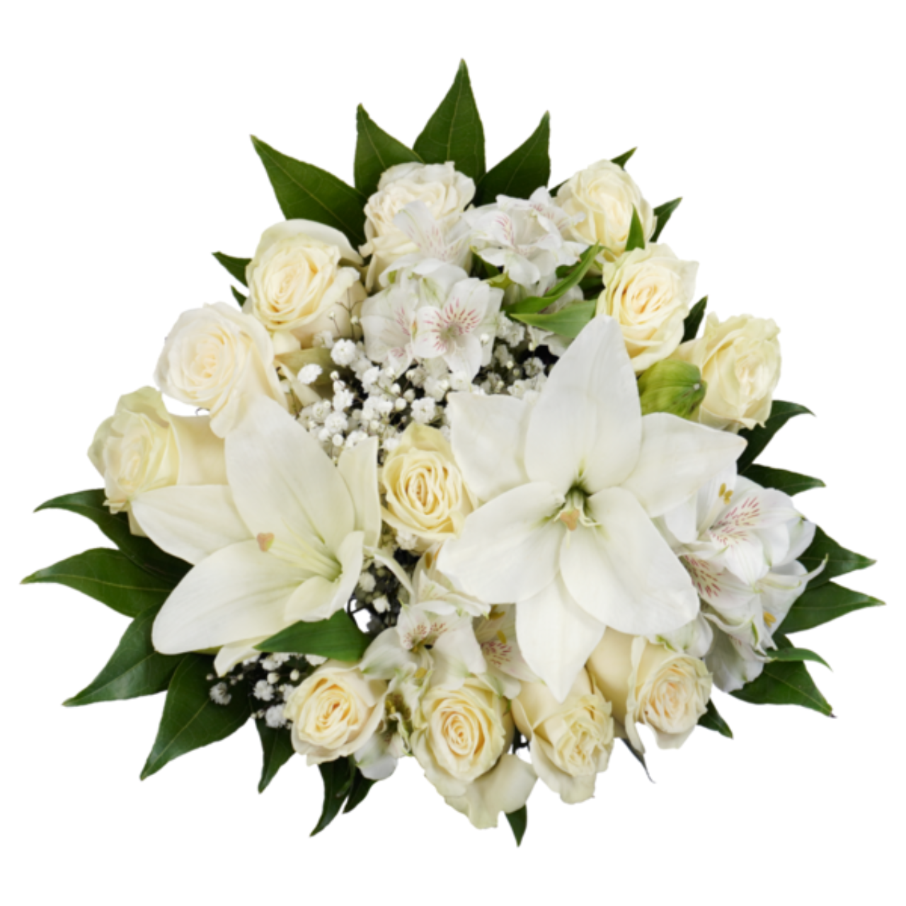 White Whisper Rose Bouquet | Farm Fresh Flowers Albuquerque NM