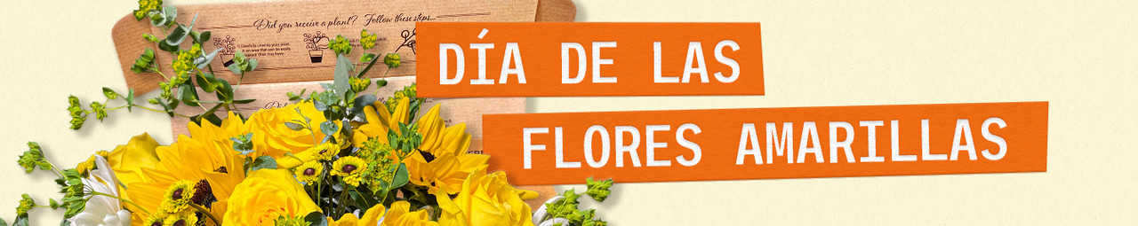 Yellow Flower Day