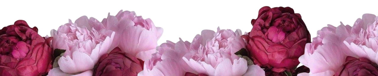 Peony Overload