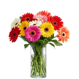 Back to School Flowers in Albuquerque for UNM Move-In Day