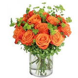 Same-Day Flower Delivery in Albuquerque: Your Guide to Instant Blooms