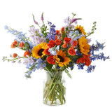 Heat-Safe Summer Flower Delivery: Choosing Fresh Blooms for Albuquerque's Hottest Days
