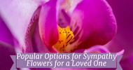 Popular Options for Sympathy Flowers for a Loved One