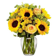 Albuquerque Florists Delivery: Your Guide to Fresh Flowers