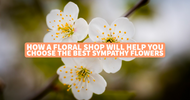 How a Floral Shop Will Help You Choose the Best Sympathy Flowers