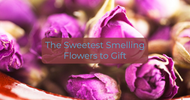 The Sweetest Smelling Flowers to Gift