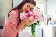 ​8 Great Spring Flowers From Albuquerque Florist