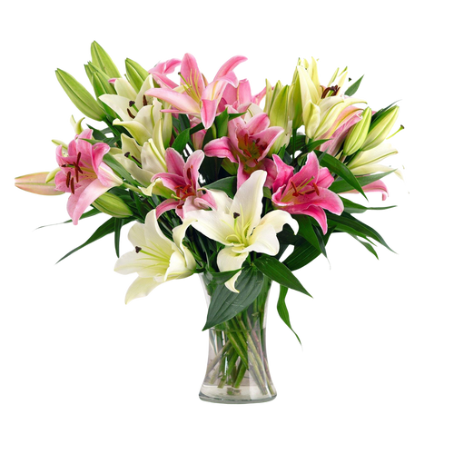 Lavish Lilies