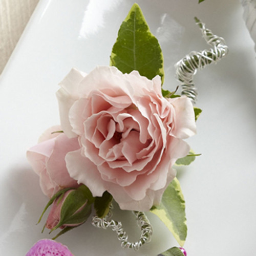 White Spray Rose Boutonniere With Silver Ribbon in NOVATO, CA