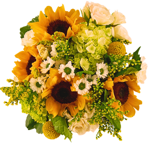 Farm fresh bouquet with sunflowers, green hydrangea, daisies, and craspedia in Albuquerque NM