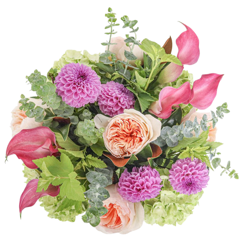 Dahlia Embrace bouquet with pink dahlias, mini callas, peach roses, hydrangea, and eucalyptus – Albuquerque Flower Market Albuquerque NM