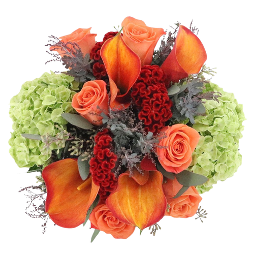 Farm fresh Harvest Mango bouquet with green hydrangea and orange callas in Albuquerque NM