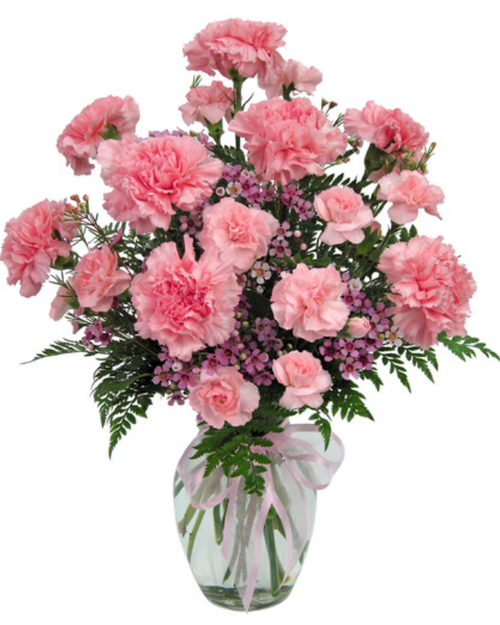 Pink Promise Carnations flower arrangement featuring light pink carnations, mini carnations, and pink waxflower in a clear glass vase.