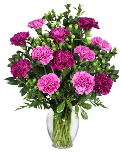Purple Muse Carnations arrangement featuring purple and lavender carnations with green hypericum berries in a clear glass vase, Albuquerque florist