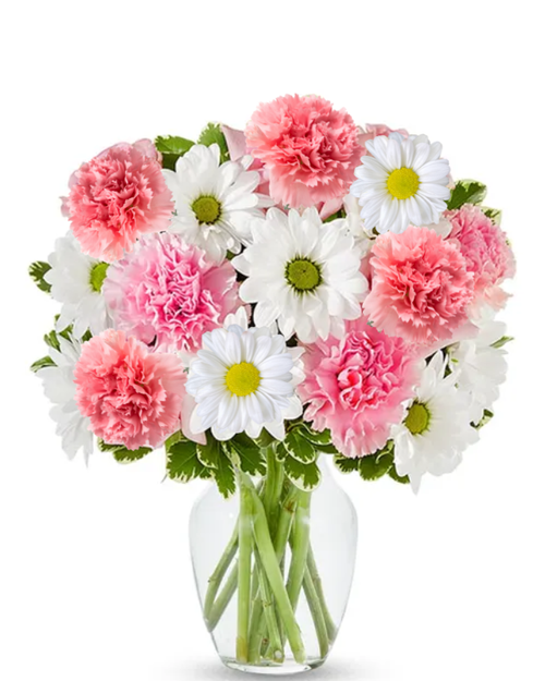Blushing Carnations small floral arrangement with light pink carnations and white daisies in a clear glass vase, Albuquerque florist