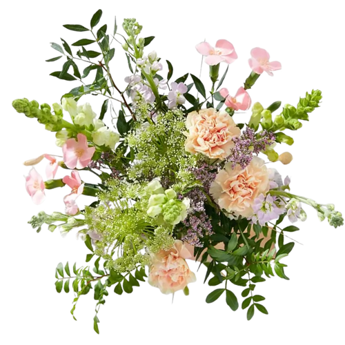 Carnation Garden Farm Fresh Bouquet with snapdragons, peach and pink carnations, lavender stock, Queen Anne’s lace, and greenery, Albuquerque
