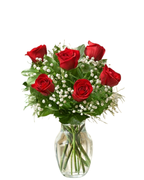6 rose Valentine’s arrangement in Albuquerque featuring six long stem roses arranged in a vase by a local florist for Valentine’s Day