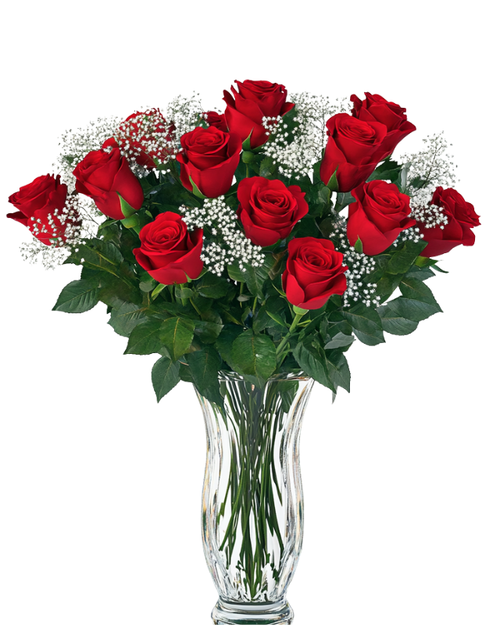 12 rose Valentine’s arrangement in Albuquerque featuring a dozen long stem roses arranged in a vase by a local florist for Valentine’s Day
