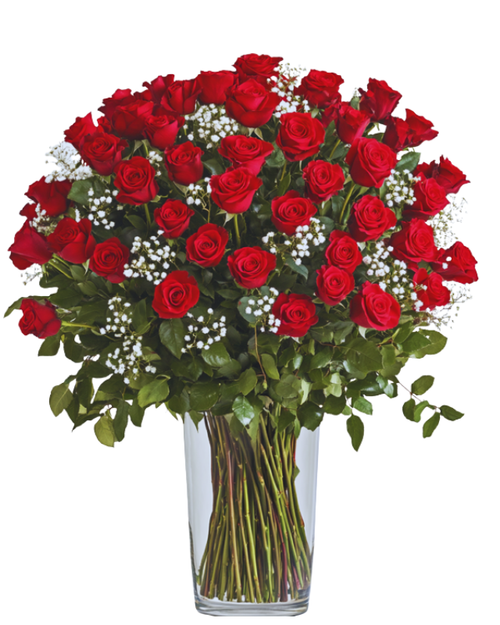 50 rose Valentine’s arrangement in Albuquerque featuring fifty long stem roses arranged in a large vase by a local florist for Valentine’s Day