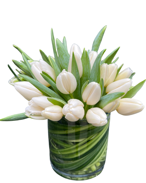 Tulip Elegance white tulip arrangement in leaf wrapped cylinder vase – tulip flower delivery Albuquerque New Mexico