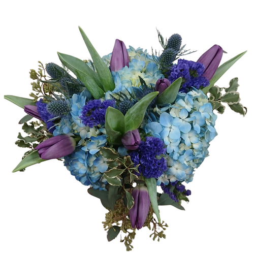 Cool Breeze Tulips farm fresh bouquet with blue hydrangea purple tulips statice and eryngium – tulip bouquet Albuquerque New Mexico