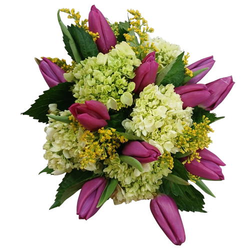 Meadow Fresh Tulips farm fresh bouquet with hot pink tulips green mini hydrangea and solidago – tulip bouquet Albuquerque New Mexico