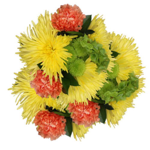 Galway Sun Farm Fresh Bouquet with yellow spider mums, orange carnations, and green button mums at Albuquerque Flower Market