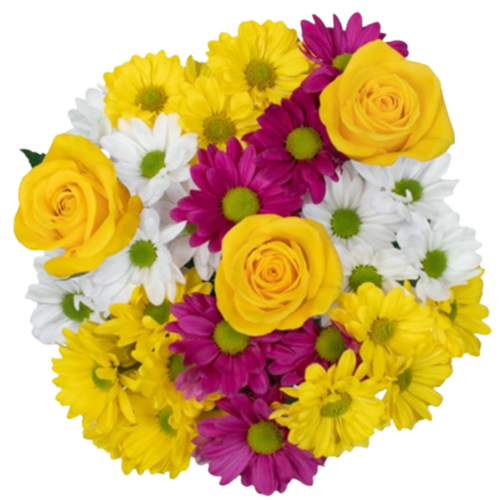 Fiesta Sol Farm Fresh Bouquet yellow roses purple and white daisies Albuquerque