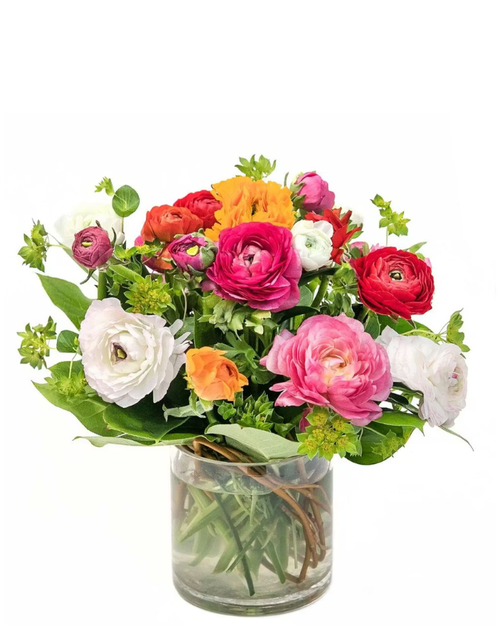 Color Pop Ranunculus arrangement with mixed ranunculus, greenery, and curly willow in a glass vase in Albuquerque