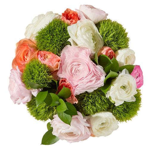Sweet Spot Ranunculus Bouquet with mixed ranunculus and green trick dianthus in Albuquerque