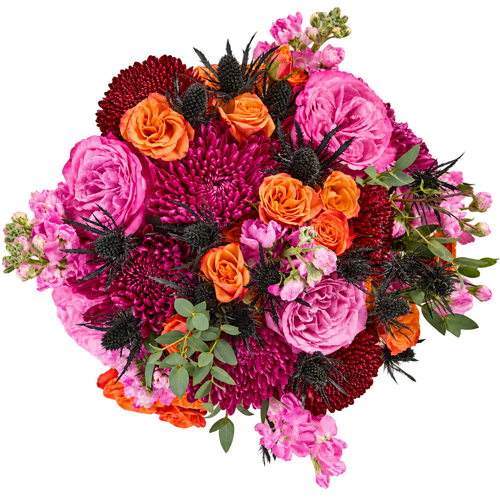 Hocus Pocus Farm Fresh Bouquet with lavender roses, orange spray roses, burgundy and purple mums, and black eryngium in Albuquerque.