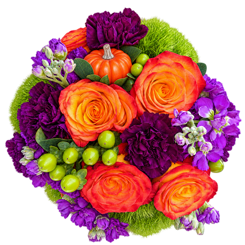 Hey, Pumpkin! Farm Fresh Bouquet with orange roses, purple flowers, green berries, and a pumpkin pick in Albuquerque.