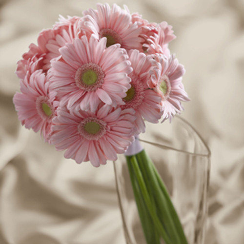 Daisy Delight Bouquet Daisy Delight Bouquet