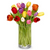 Touch Of Tulips